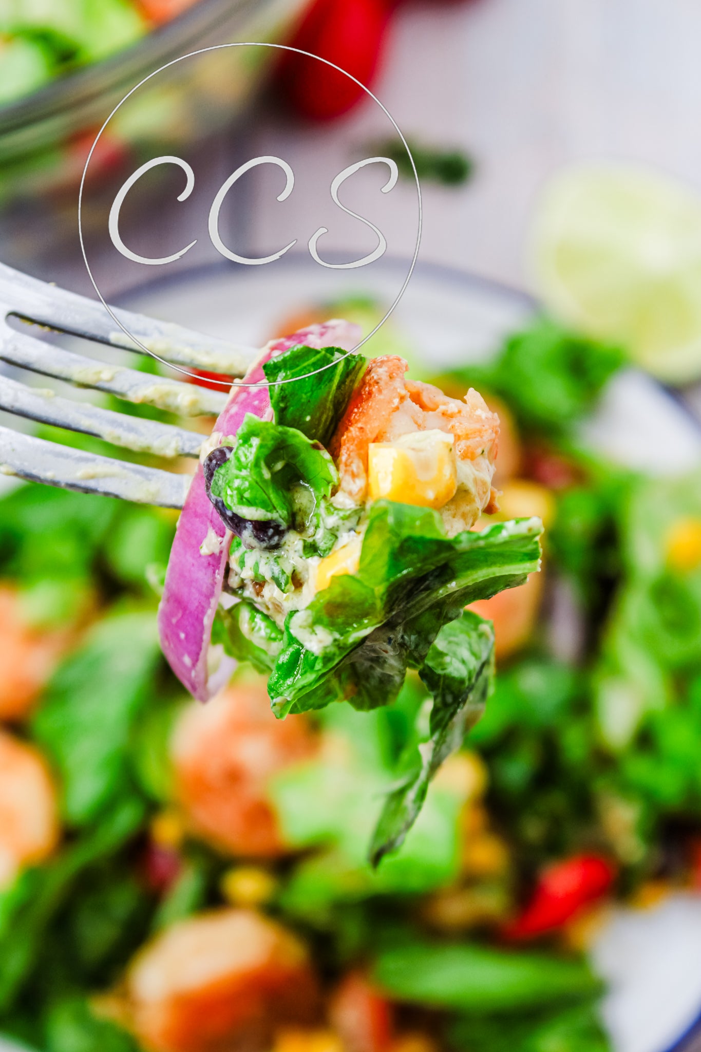 Avocado Lime Shrimp Salad - Set 2 of 3