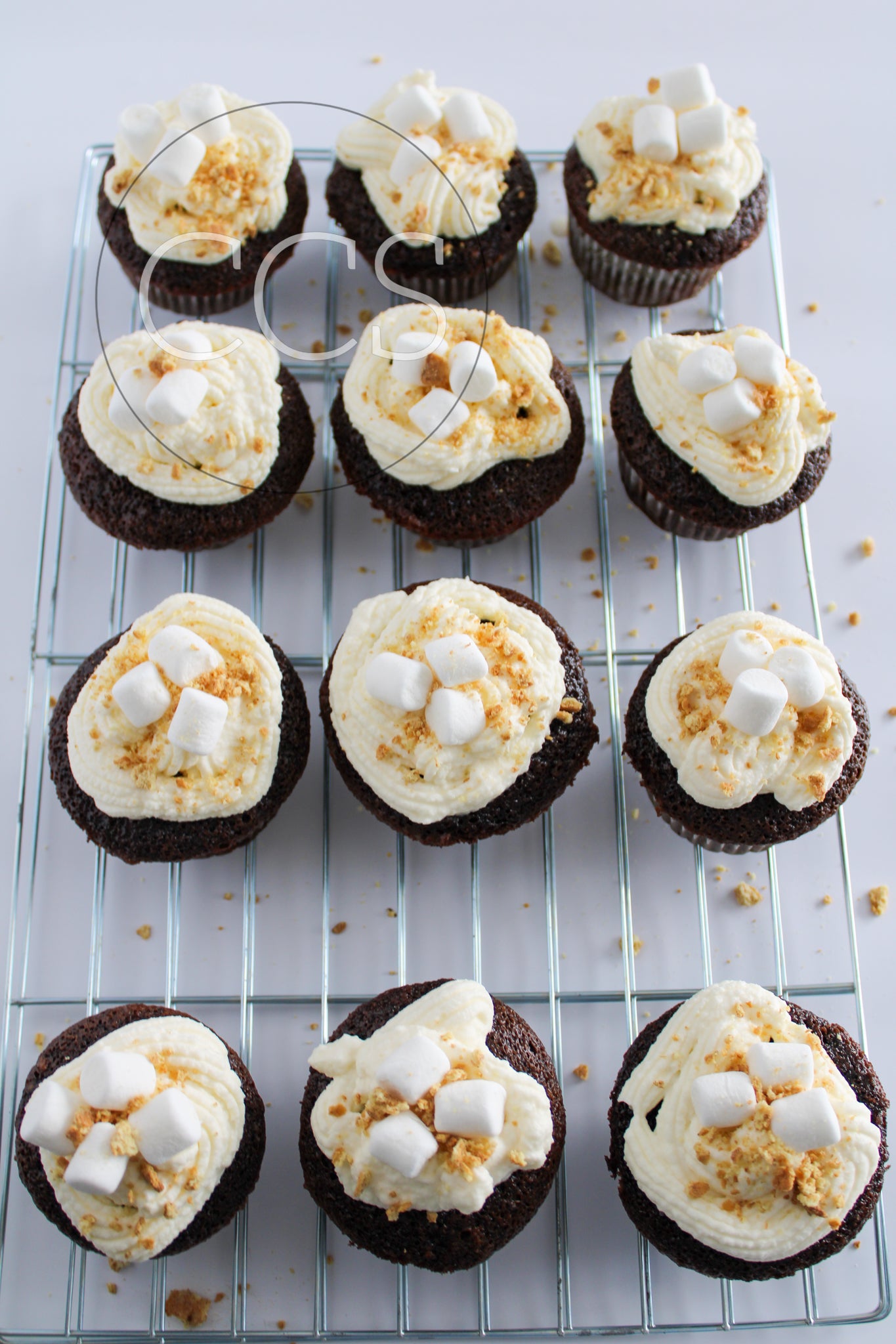 Gluten-Free Hot Cocoa Cupcakes - Set 2 of 6