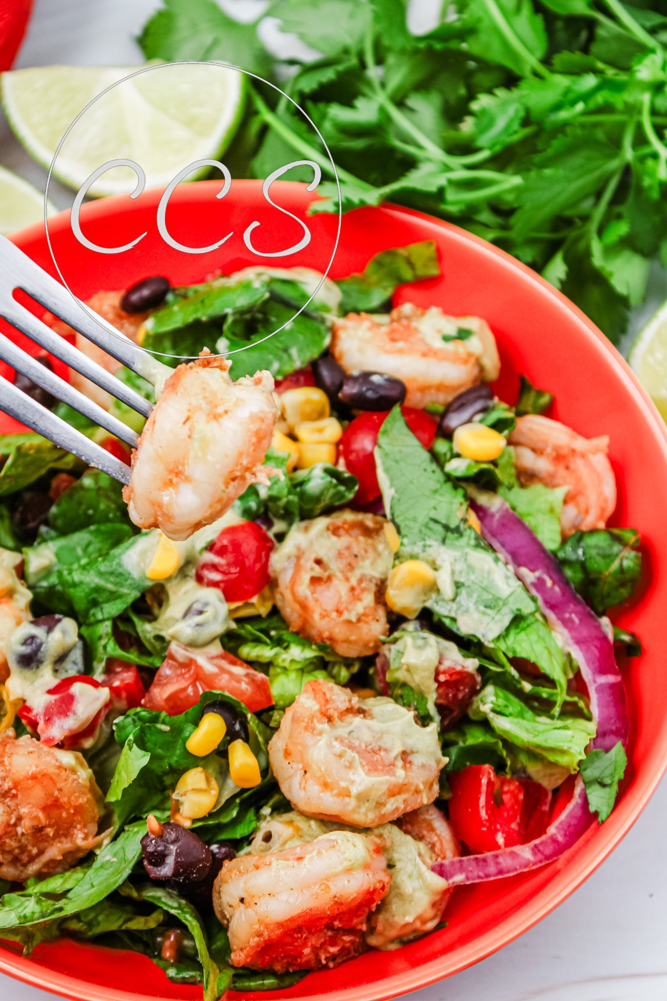 Avocado Lime Shrimp Salad - Set 1 of 3